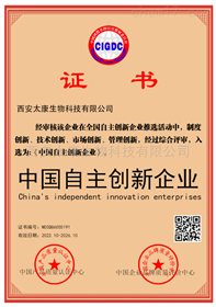 中国自主创新企业