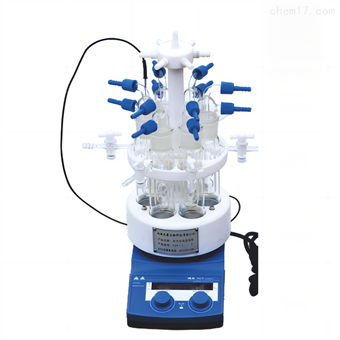 TK-PXF平行合成反应仪